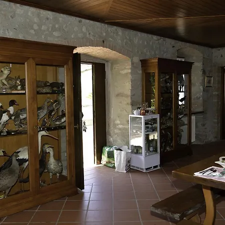 Casa Rodolfa Apartman Valeggio sul Mincio